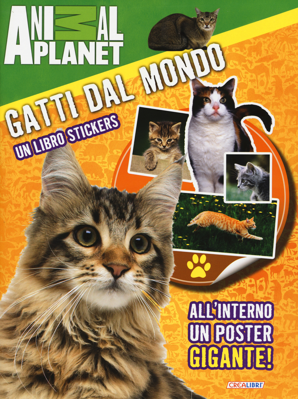 Gatti dal mondo. Un libro stickers