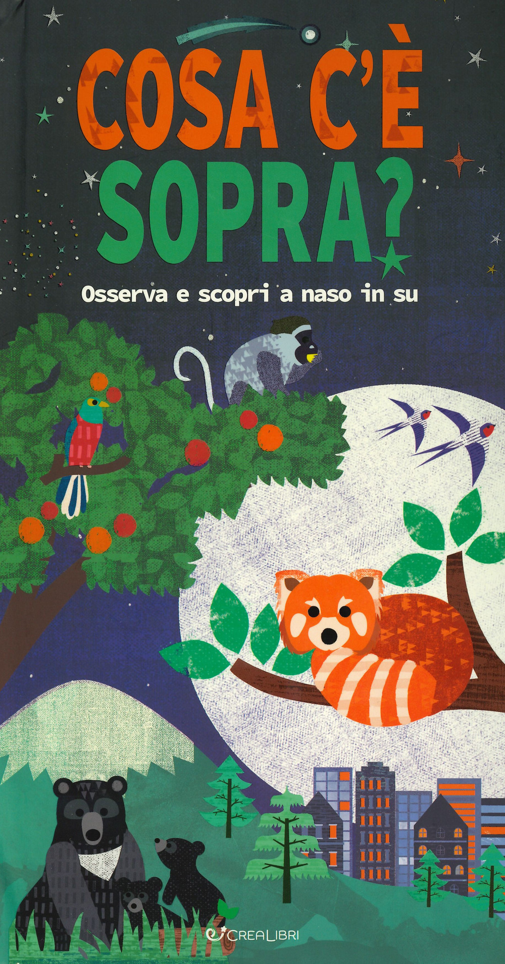 Cosa c'è sopra? Osserva e scopri a naso in su. Libro pop-up