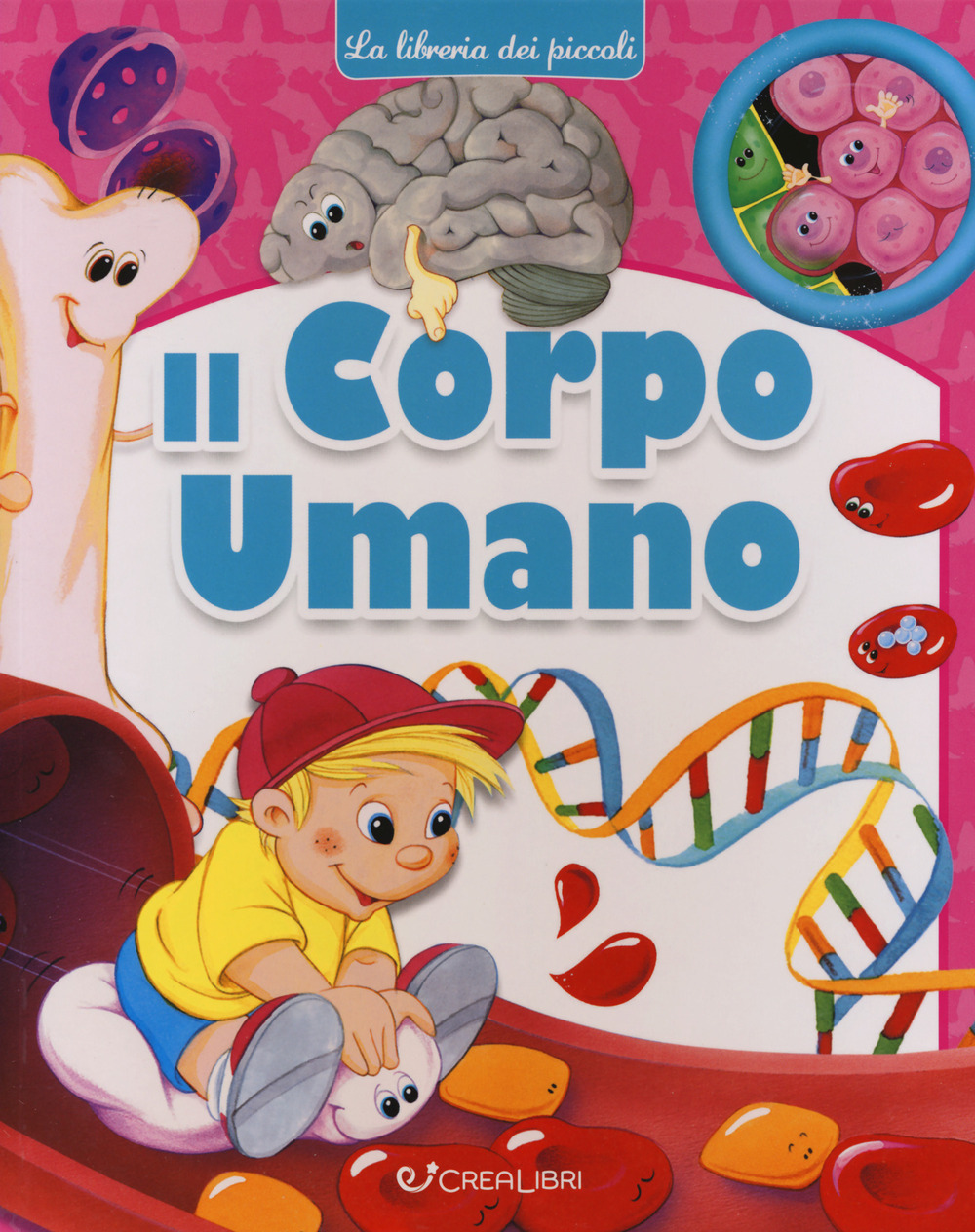 Il corpo umano