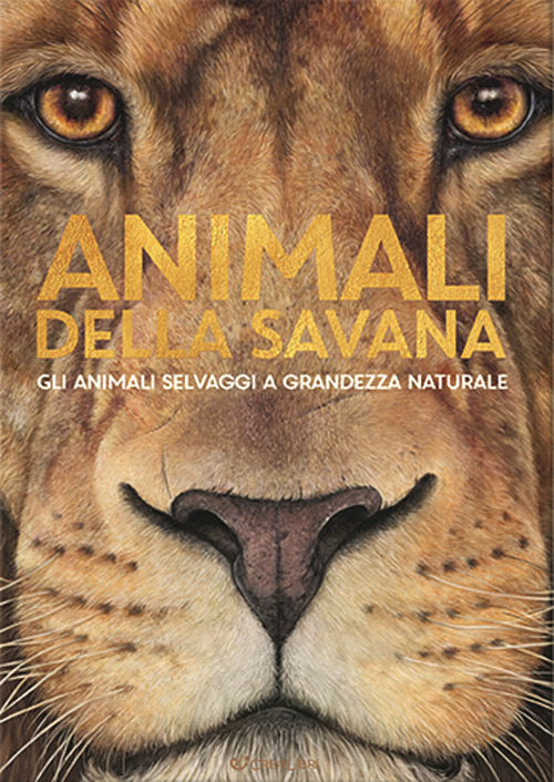 Animali della savana. Gli animali selvaggi a grandezza naturale