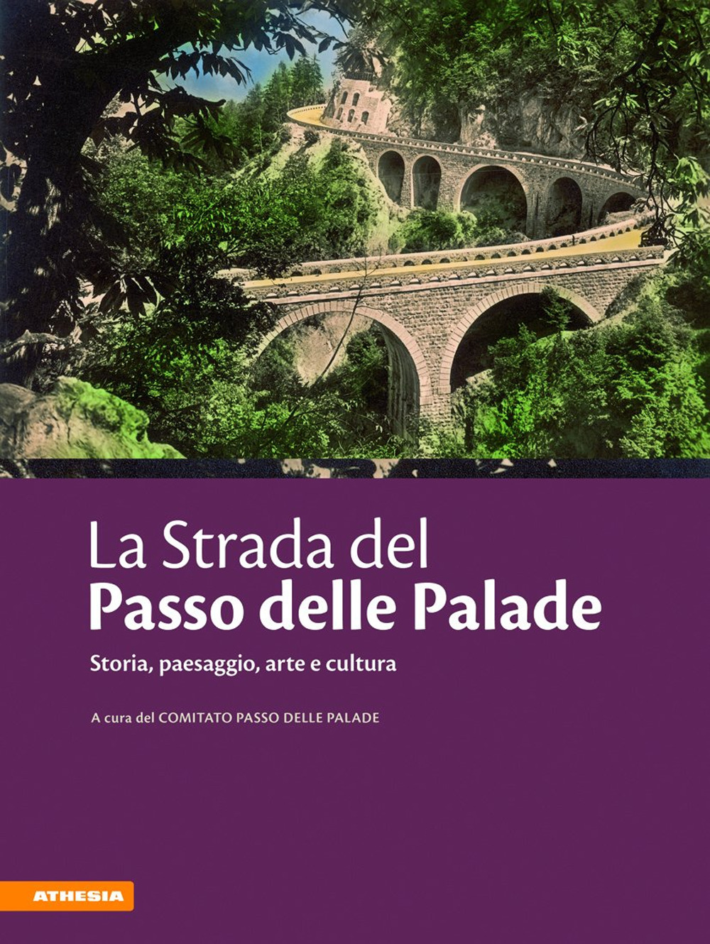 La strada del passo delle Palade. Storia, paesaggio, arte e cultura