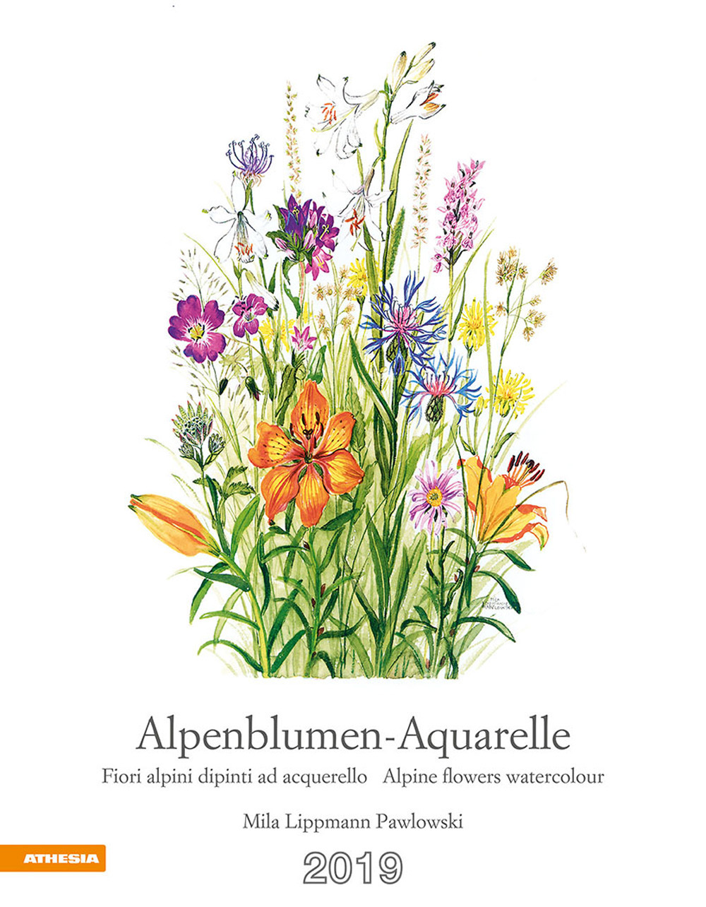 Alpenblumen acquarelle. Calendario 2019
