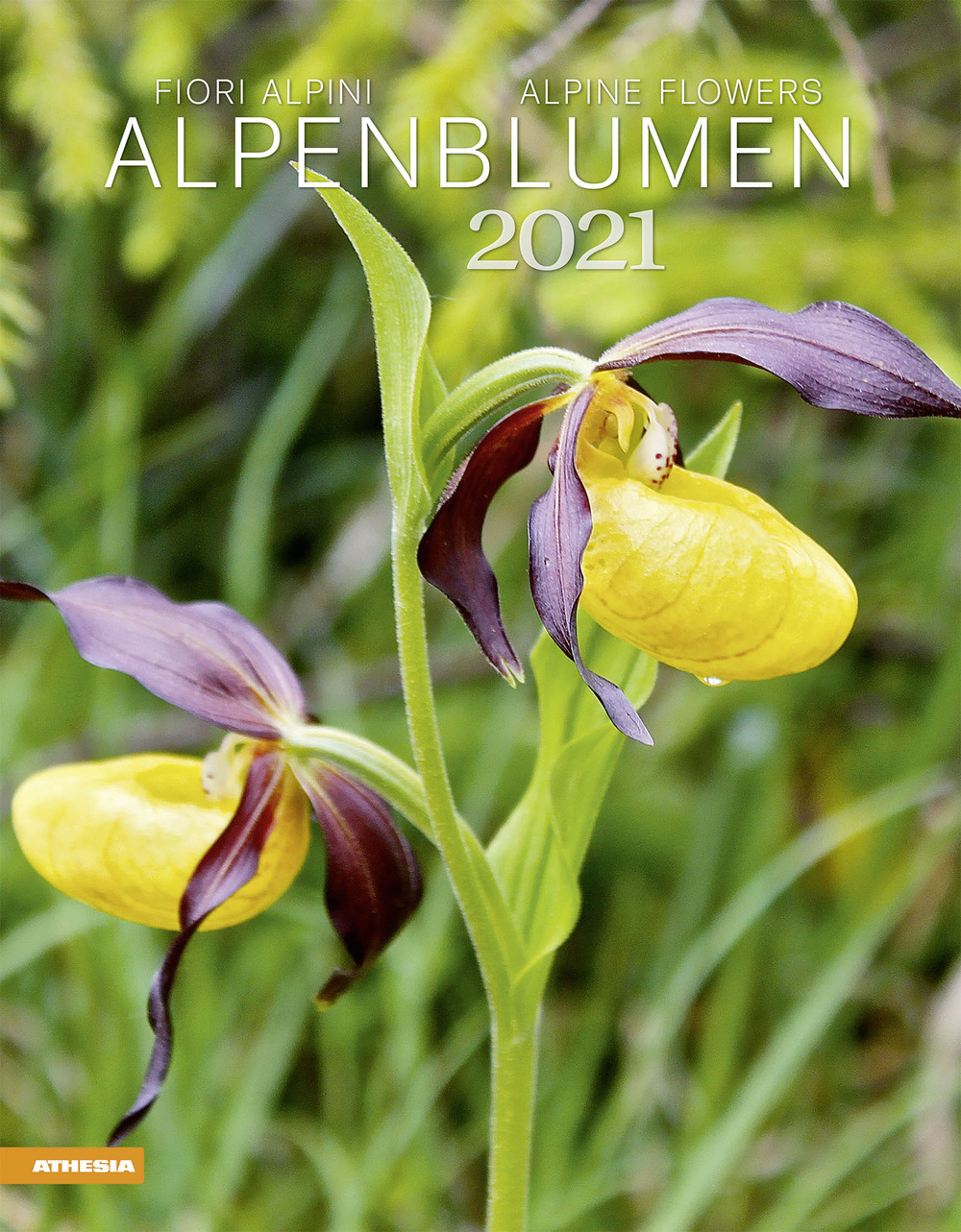 Fiori alpini. Calendario 2021