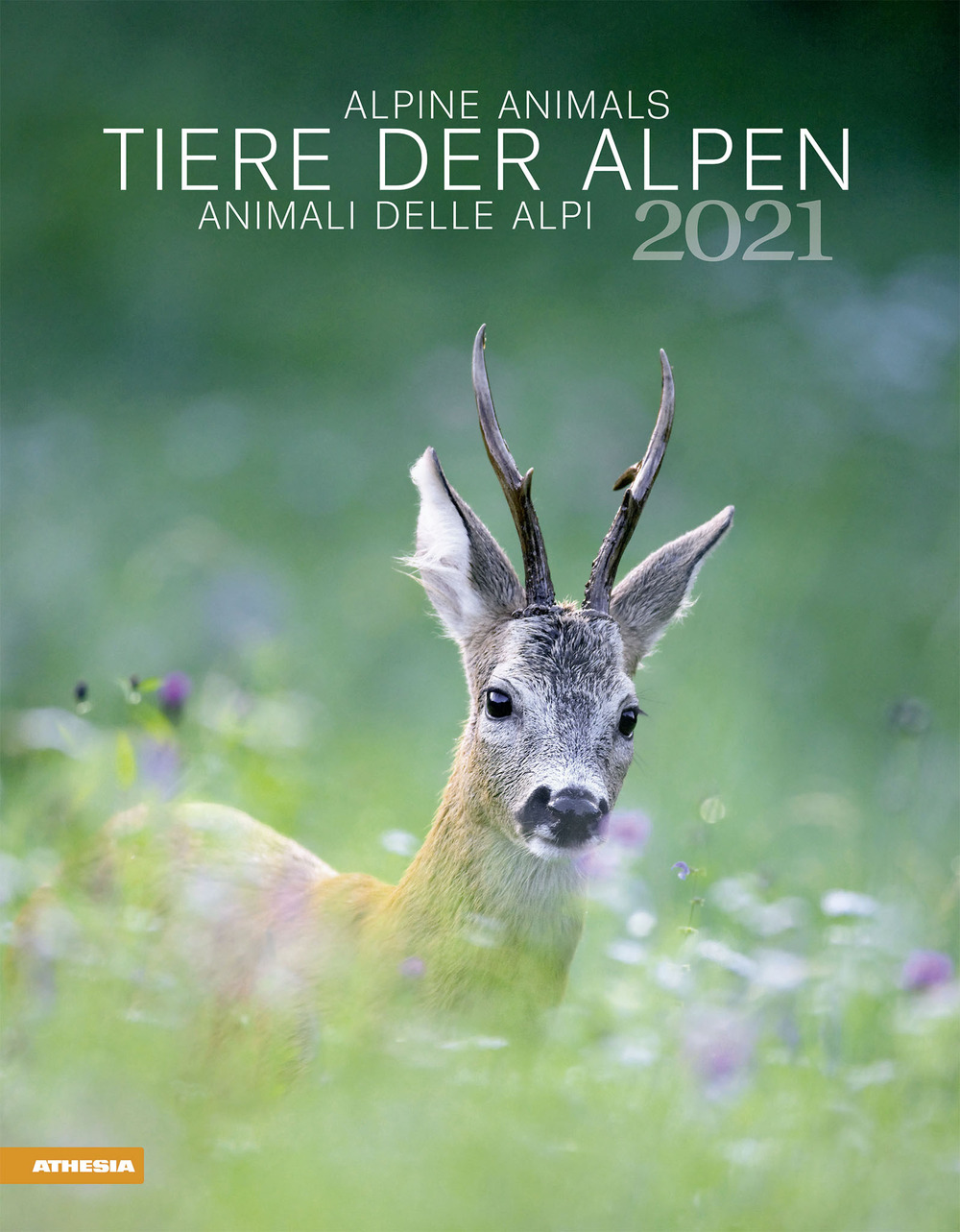 Animali delle Alpi. Calendario 2021