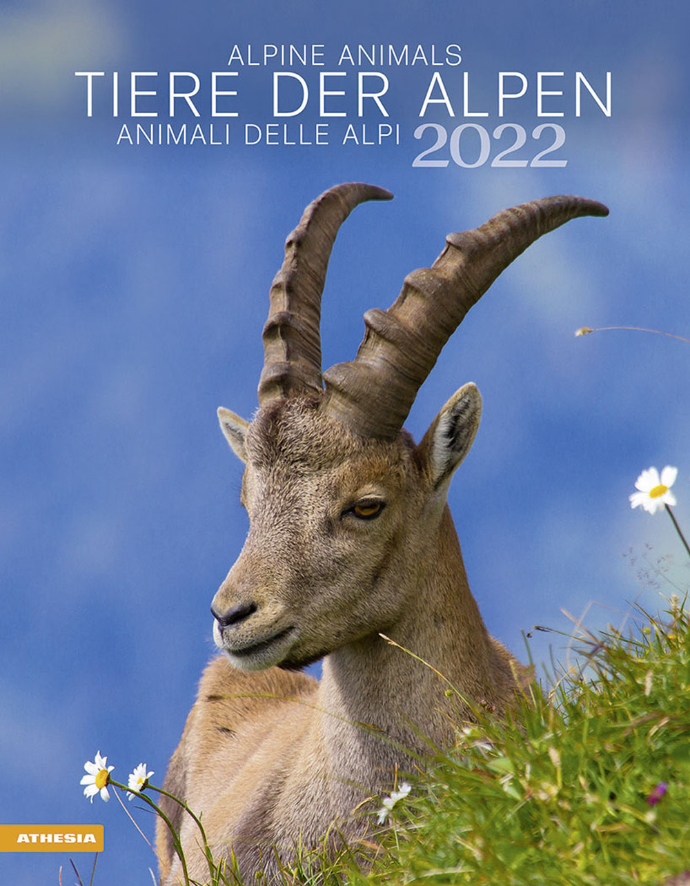 Animali delle Alpi. Calendario 2022. Ediz. multilingue