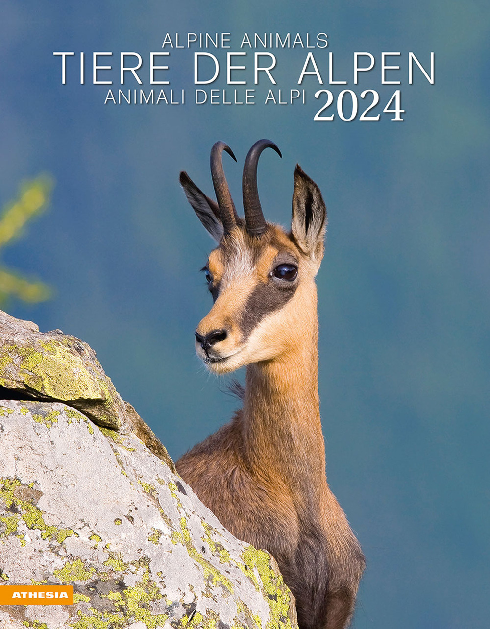 Tiere der Alpen-Animali delle Alpi-Alpine animals. Calendario 2024