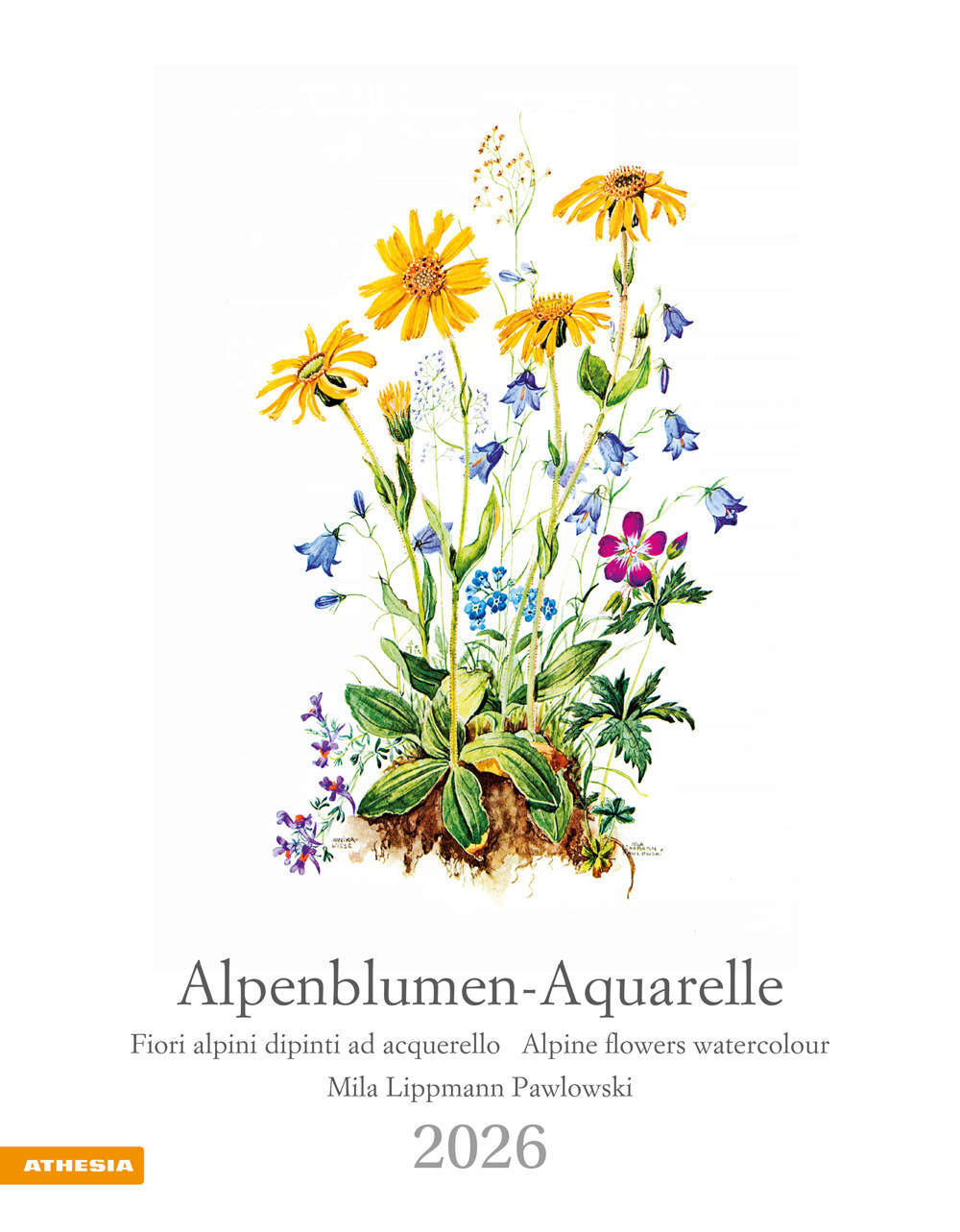 Alpenblumen-Aquarelle. Fiori alpini dipinti ad acquerello. Calendario grande 2026