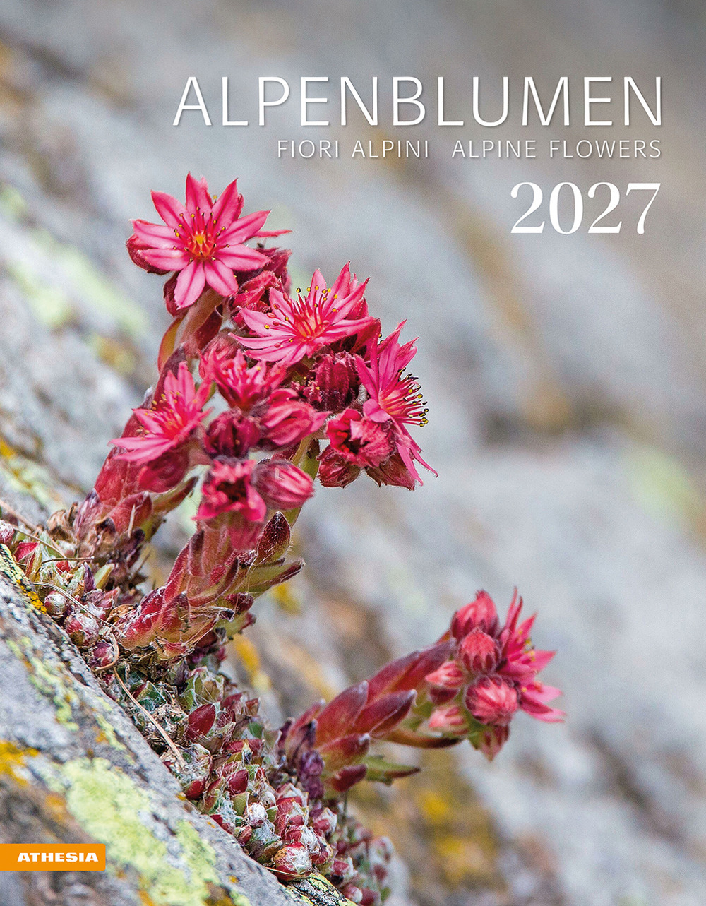 Alpenblumen. Kalender 2027