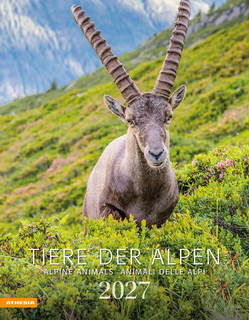 Tiere der Alpen. Kalender 2027