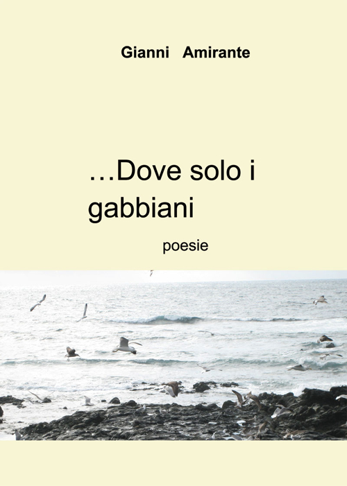 ...Dove solo i gabbiani
