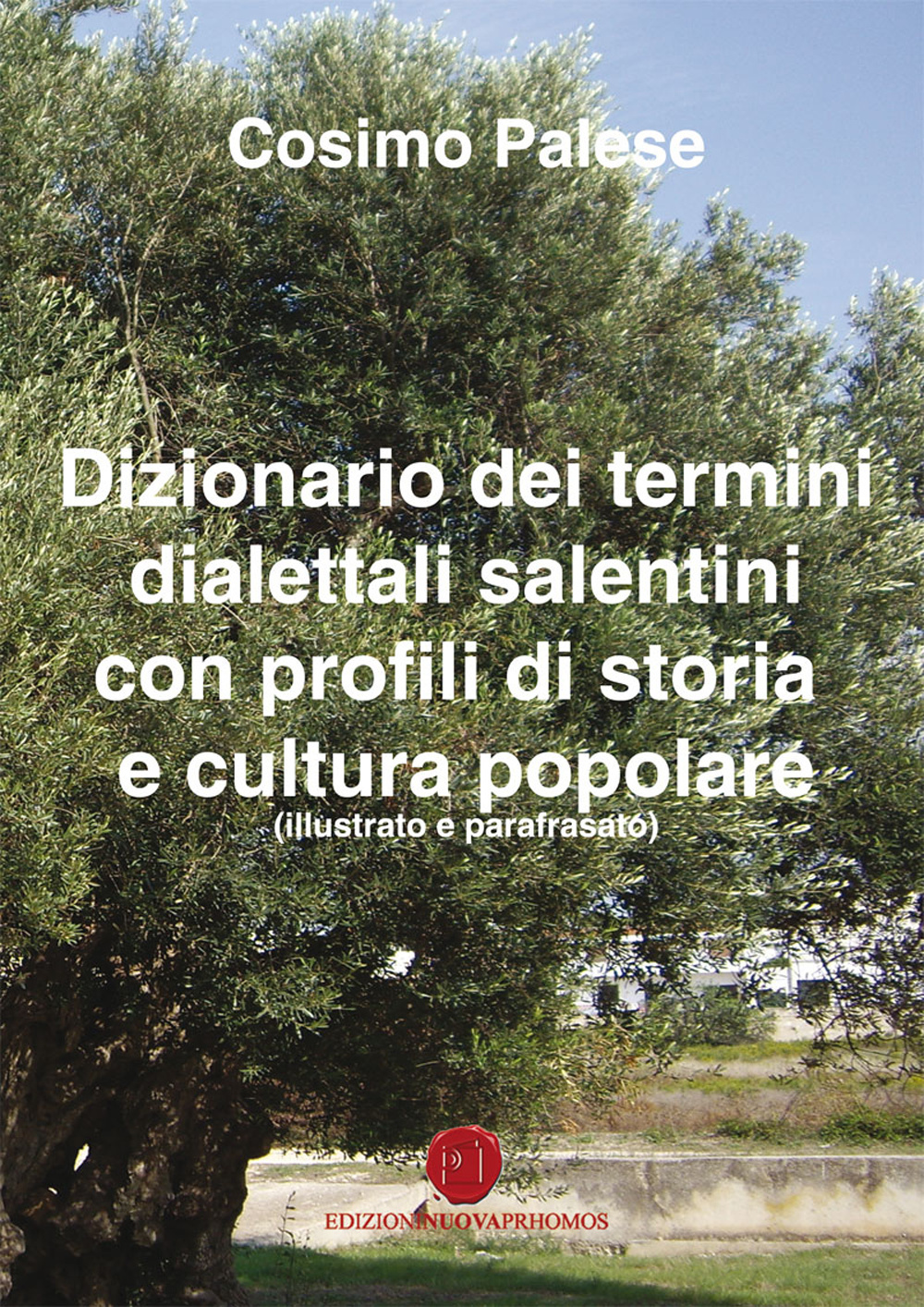 Dizionario dei termini dialettali salentini con profili di storia e cultura popolare