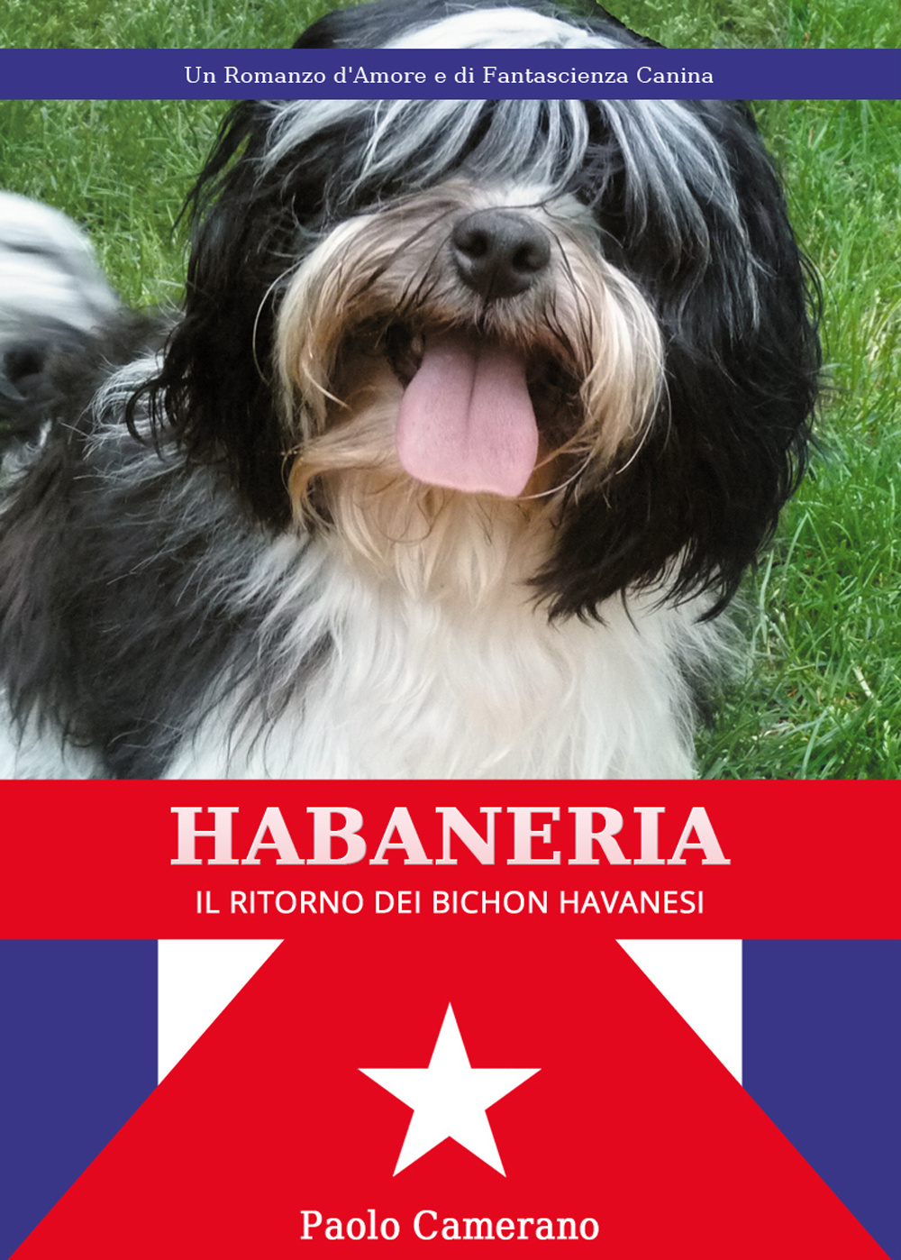 Habaneria. Il ritorno di Bichon havanesi