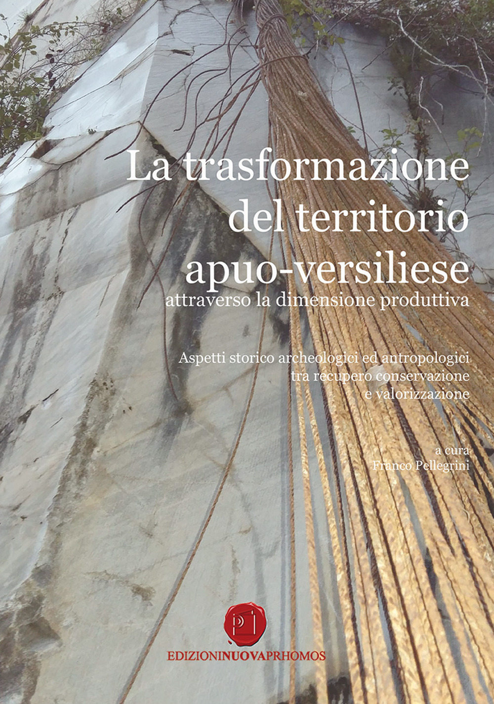 La trasformazione del territorio apuo-versiliese attraverso la dimensione produttiva. Aspetti storico archeologici ed antropologici tra recupero conservazione e valorizzazione