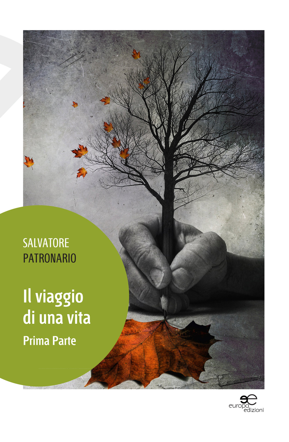 Il viaggio di una vita. Vol. 1