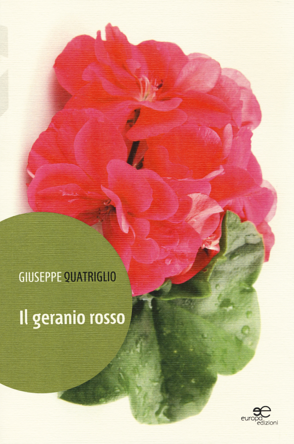 Il geranio rosso