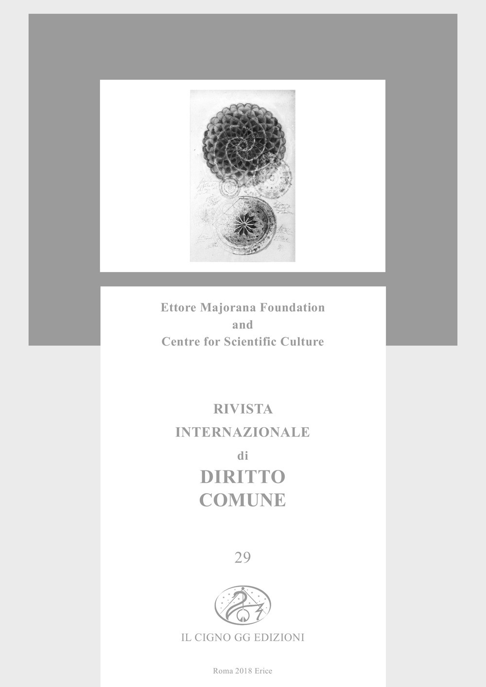 Rivista internazionale di diritto comune. Vol. 29