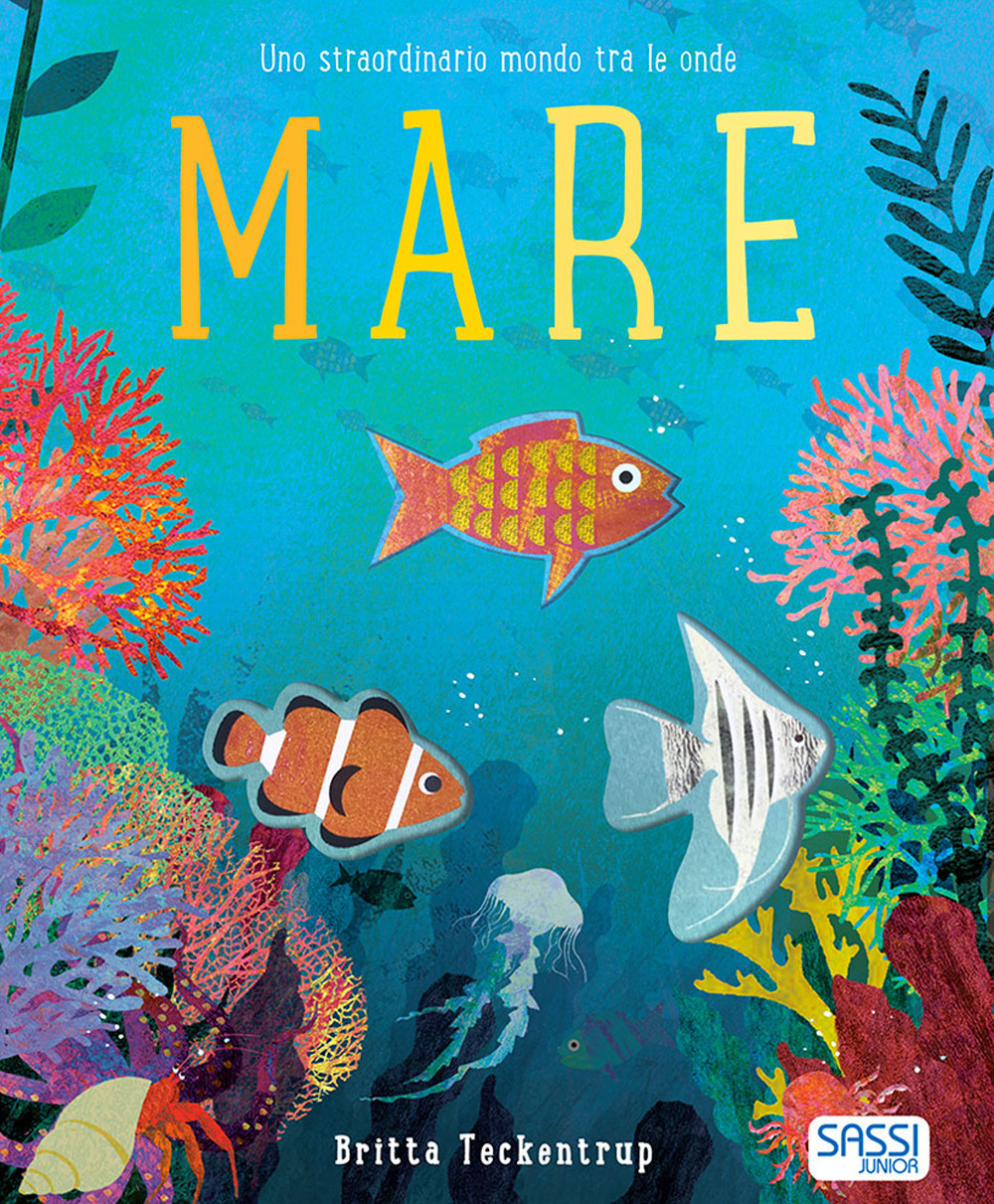 Mare. Uno straordinario mondo tra le onde