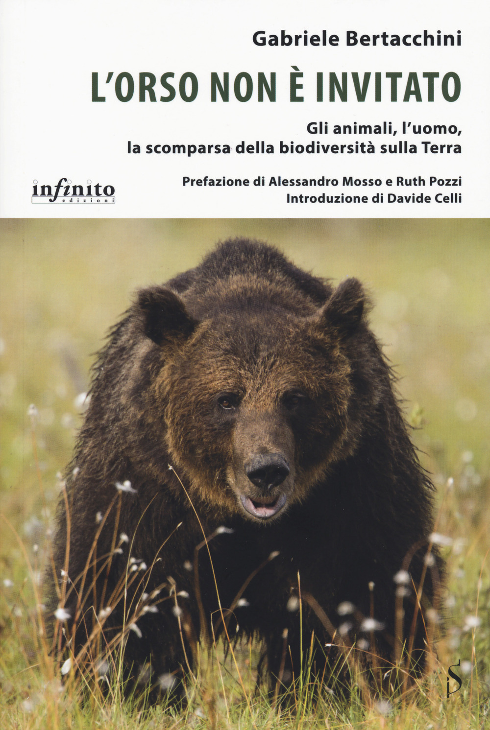 L'orso non è invitato. Gli animali, l’uomo, la scomparsa della biodiversità sulla Terra