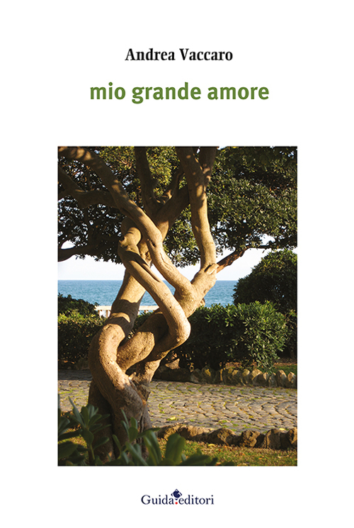 Mio grande amore