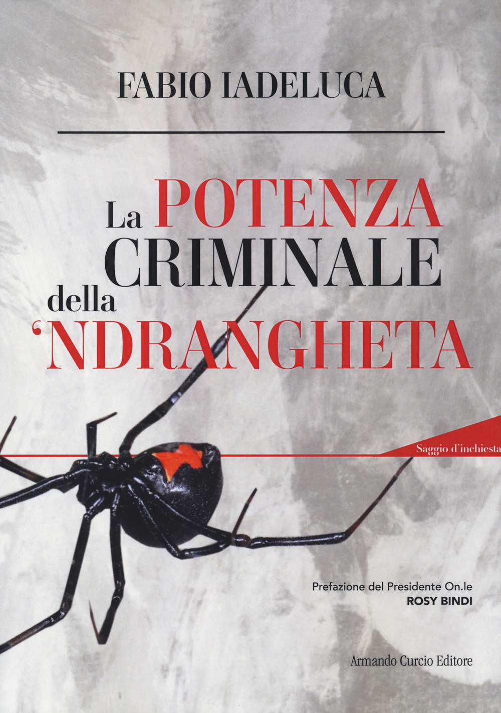 La potenza criminale della 'ndrangheta