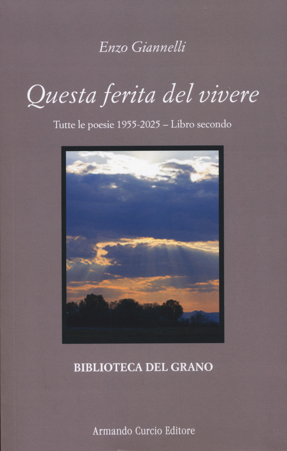 Questa ferita del vivere. Tutte le poesie 1955-2025. Vol. 2