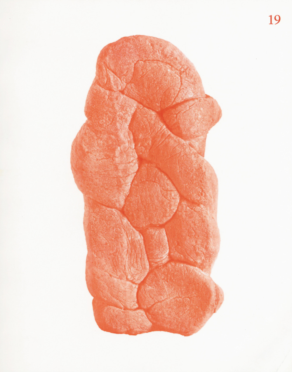 Comunicazionepuntodoc. Vol. 19: Il ristorante italiano