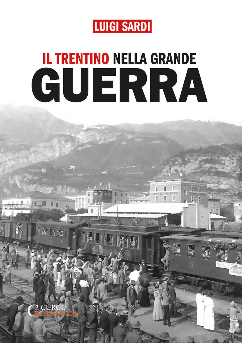 Il Trentino nella Grande Guerra