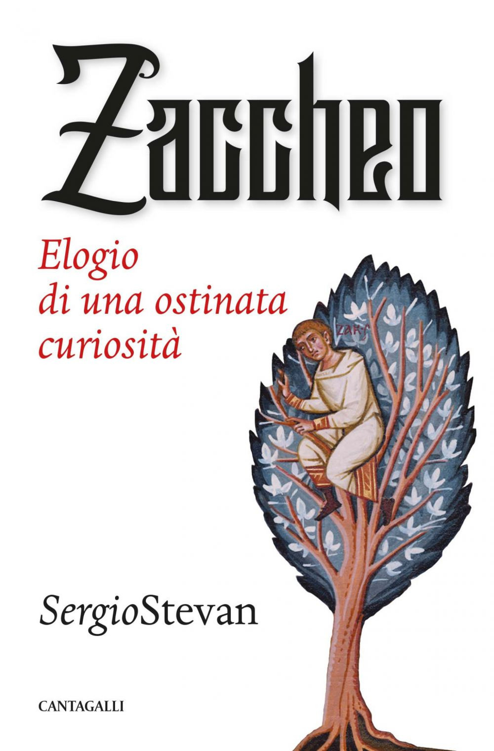 Zaccheo. Elogio di una ostinata curiosità