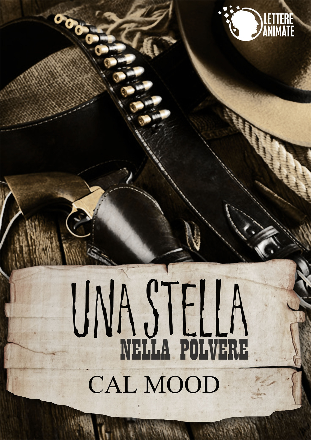 Una stella nella polvere