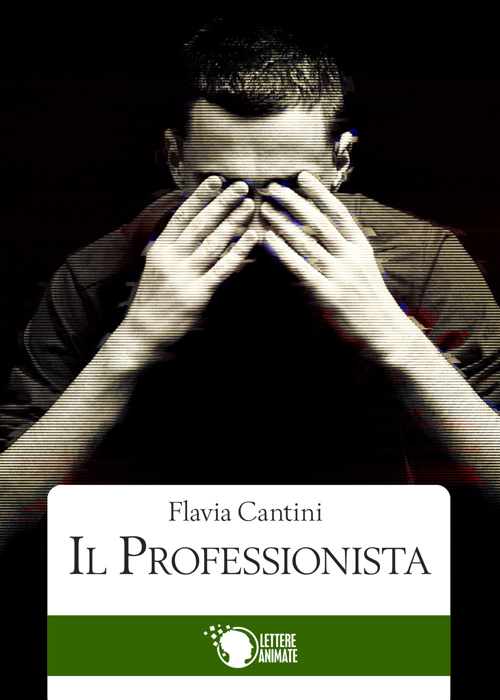 Il professionista
