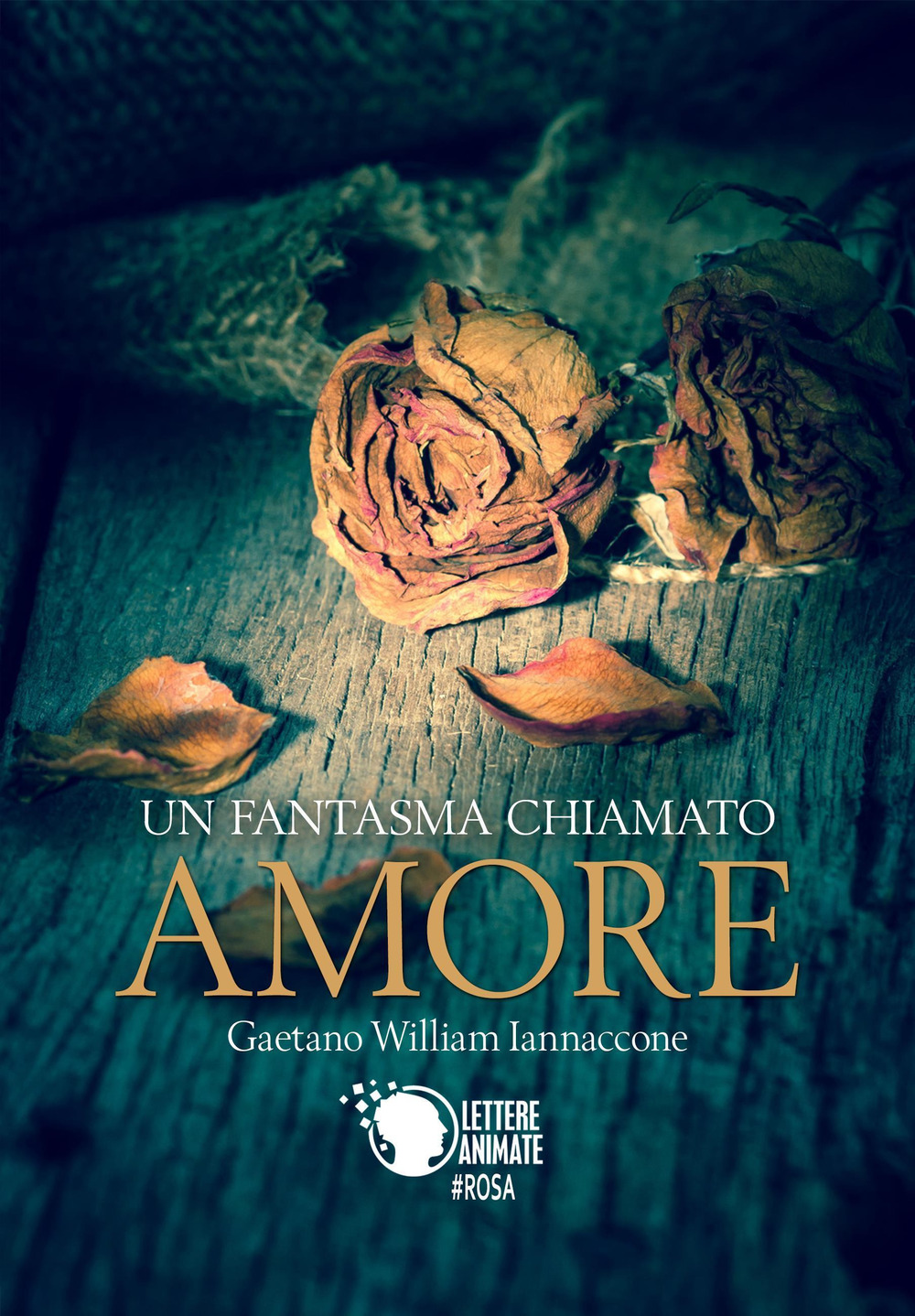 Un fantasma chiamato amore