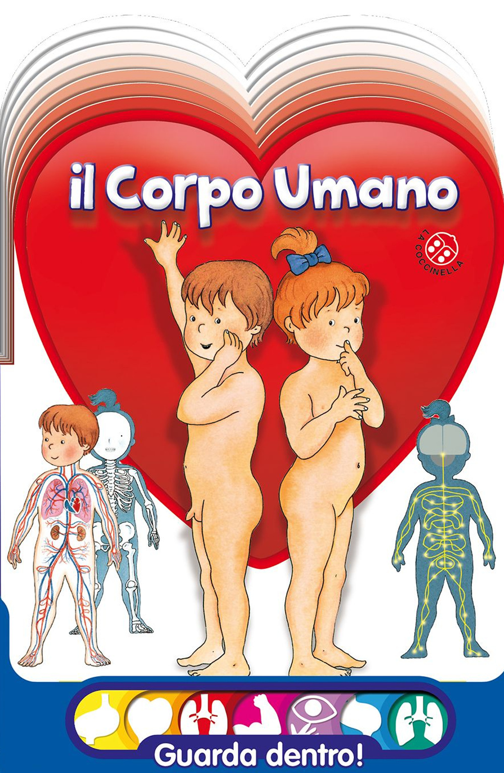 Il corpo umano