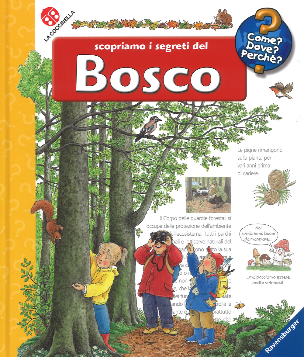Scopriamo i segreti del bosco