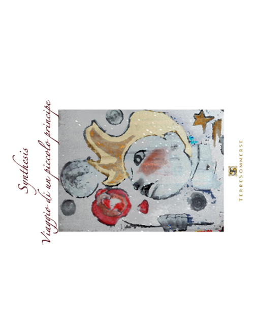 Viaggio di un piccolo principe. Synthesis