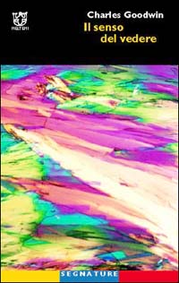 Il senso del vedere