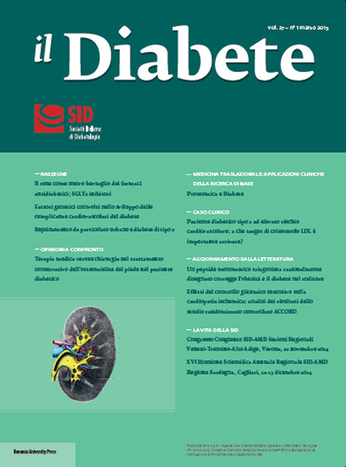 Il diabete (2015). Vol. 27/1