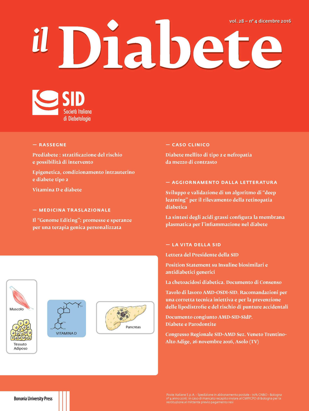 Il diabete. Vol. 28