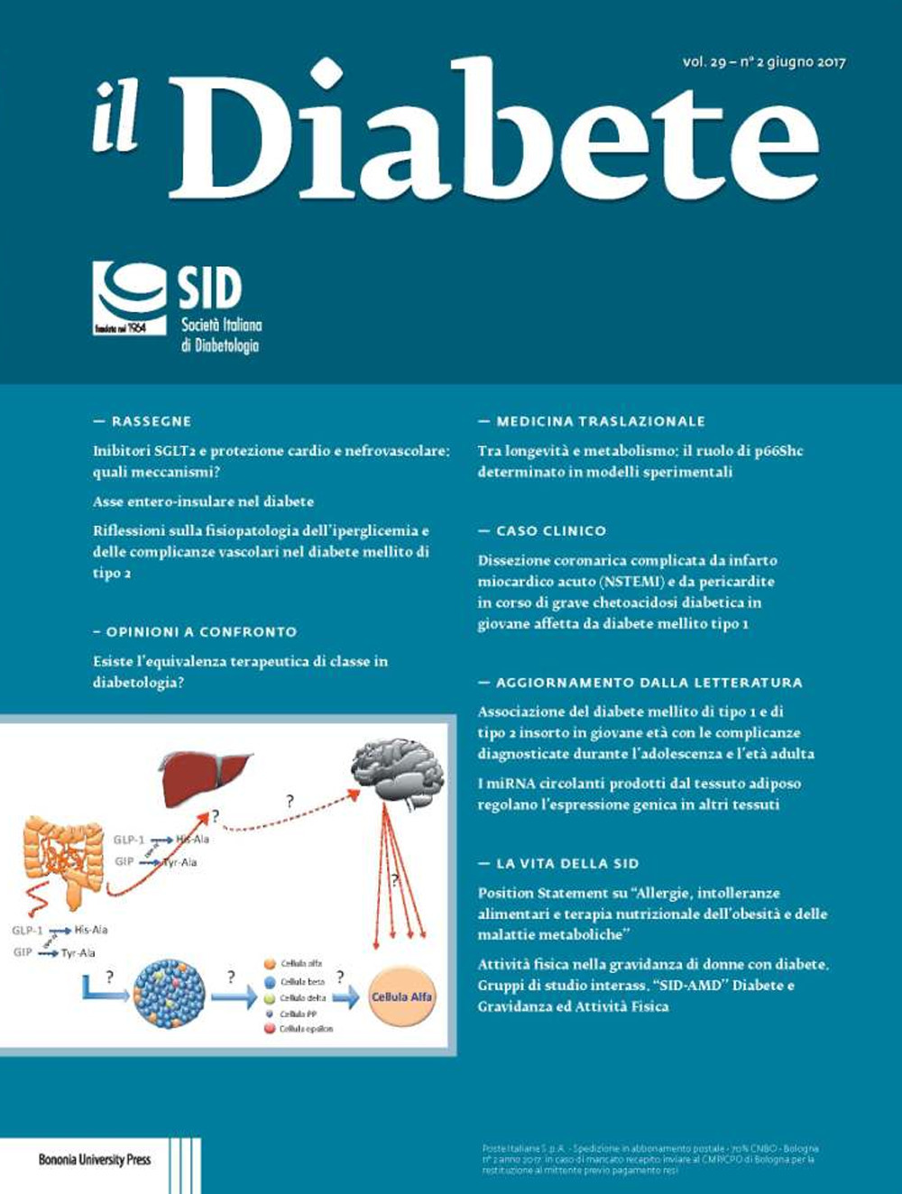 Il diabete. Vol. 29