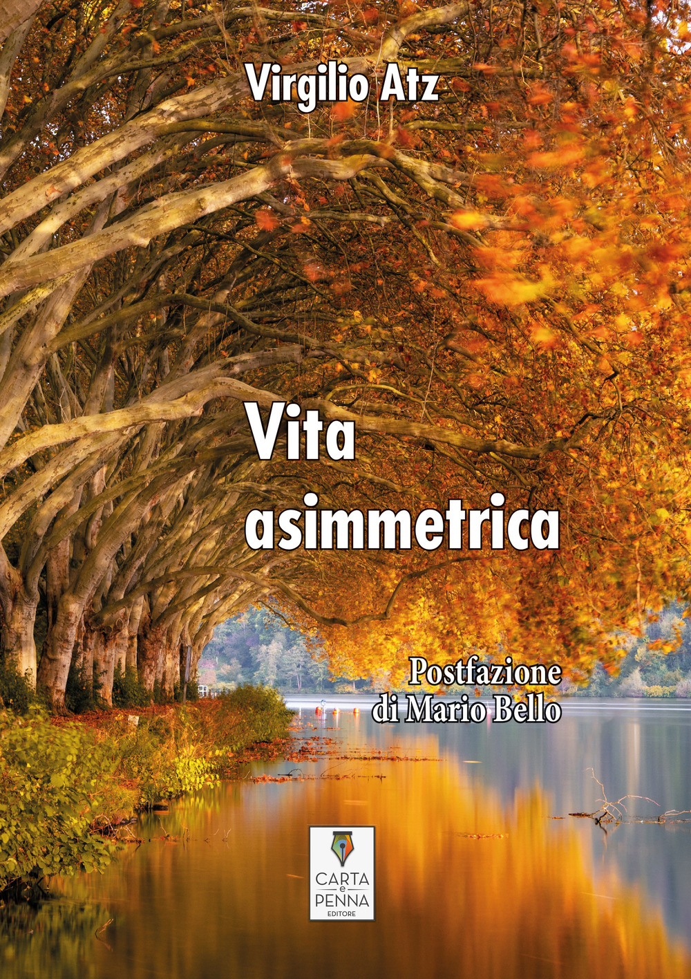 Vita asimmetrica