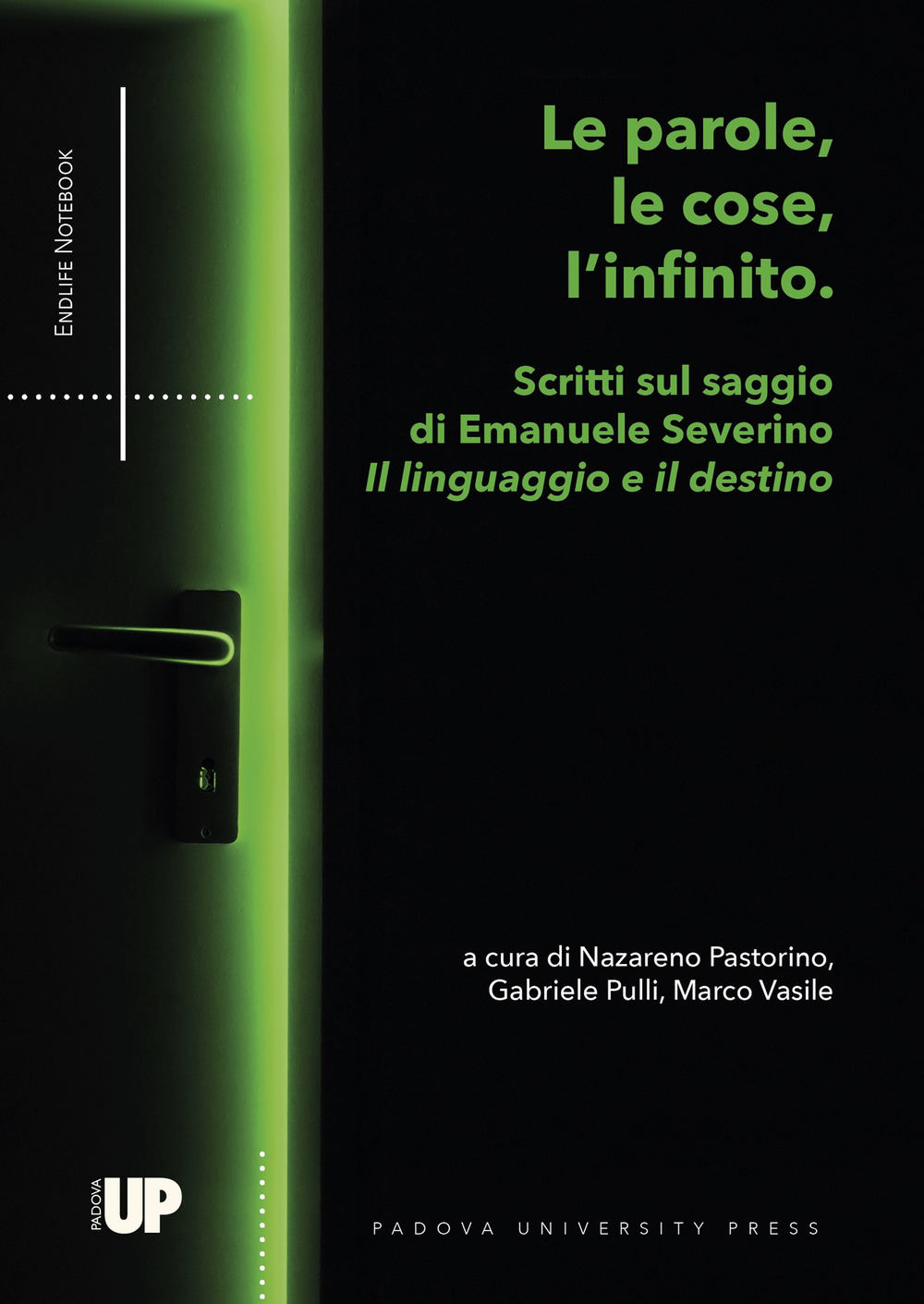 Le parole, le cose, l’infinito. Scritti sul saggio di Emanuele Severino «Il linguaggio e il destino»