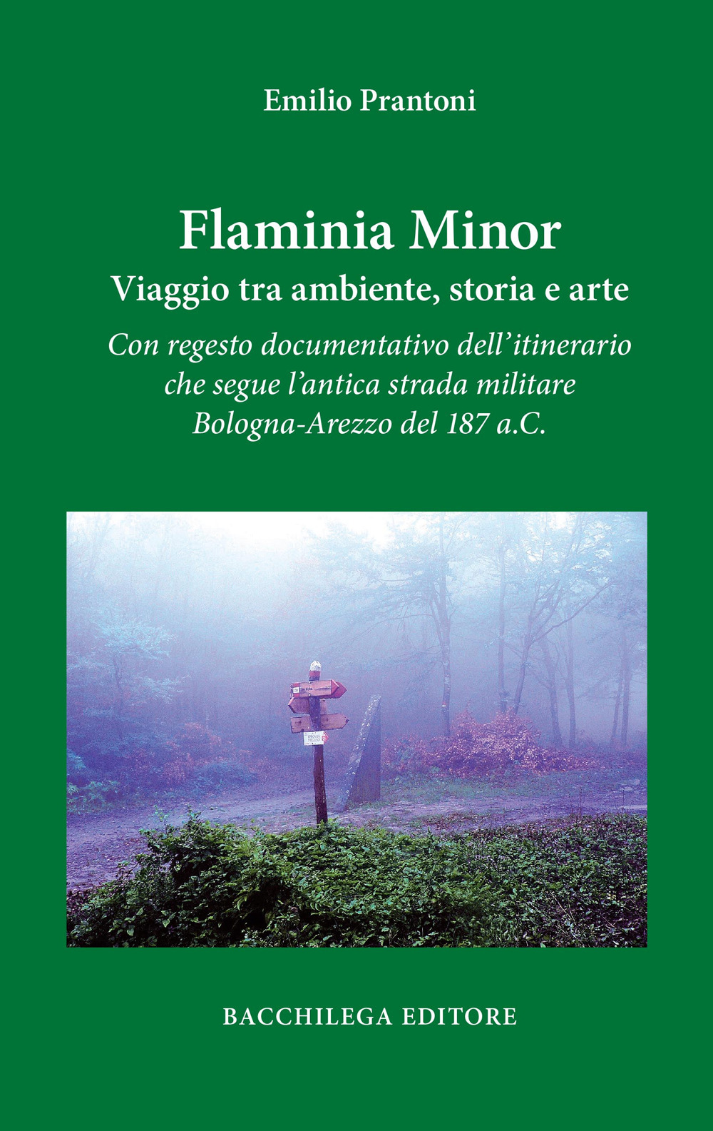 Flaminia Minor. Viaggio tra ambiente, storia e arte. Con regesto documentativo dell’itinerario che segue l’antica strada militare Bologna-Arezzo del 187 a.C.