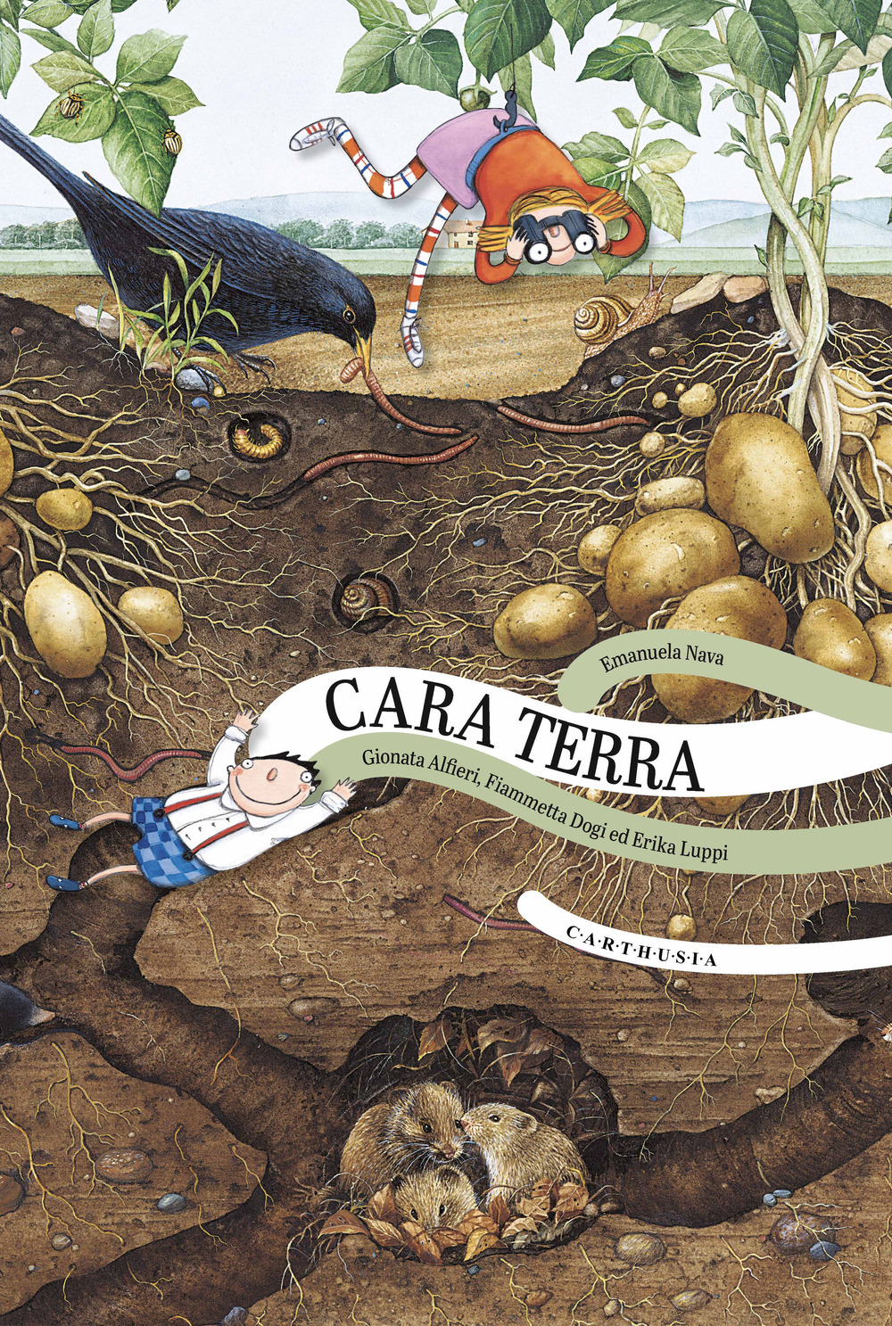 Cara terra