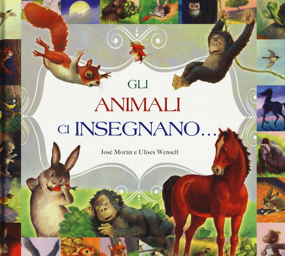 Gli animali ci insegnano...