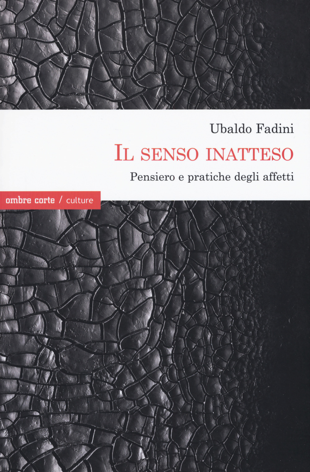 Il senso inatteso. Pensiero e pratiche degli affetti