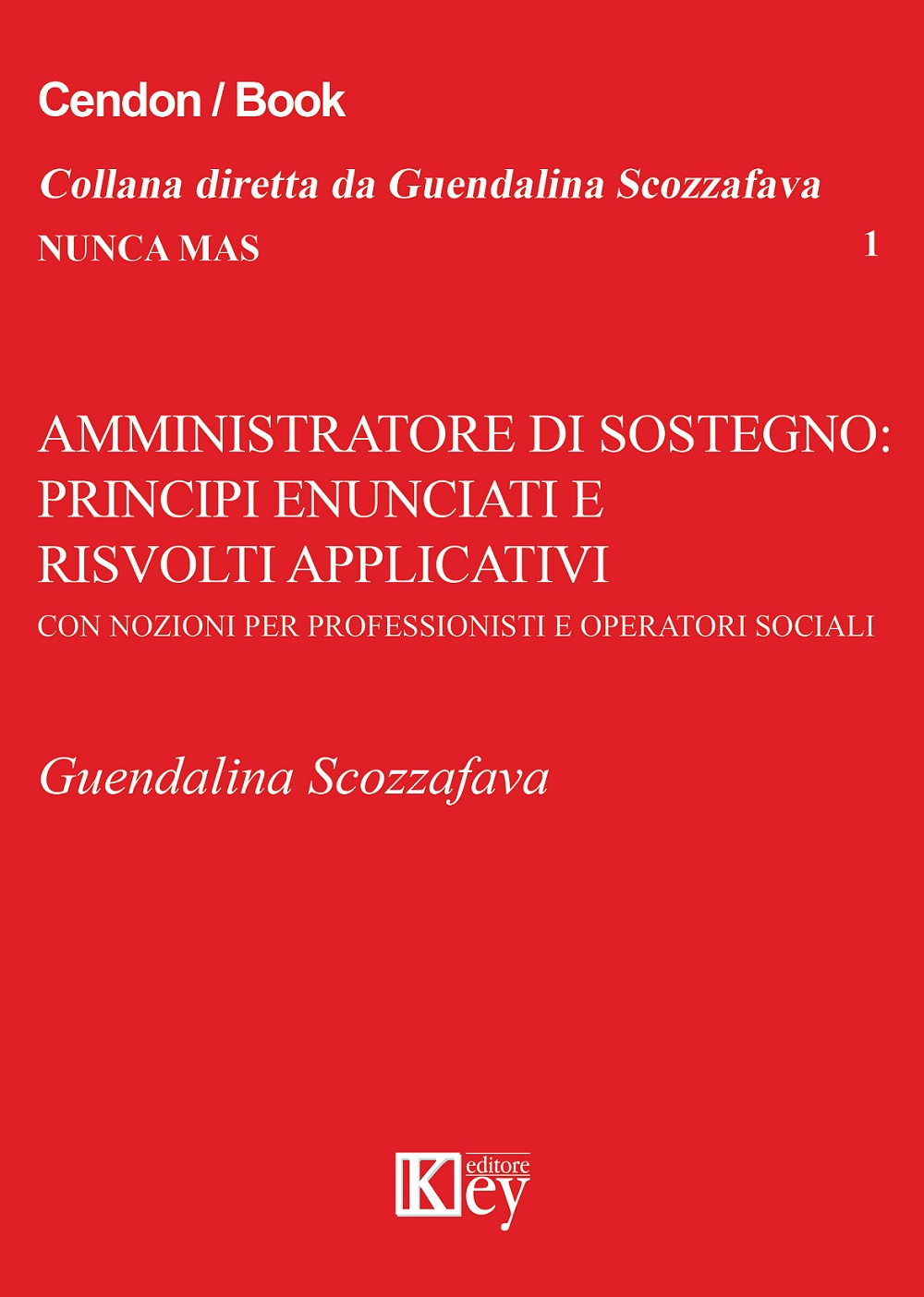 Amministrazione di sostegno. Principi enunciati e risvolti applicativi con nozioni per professionisti ed operatori del sociale