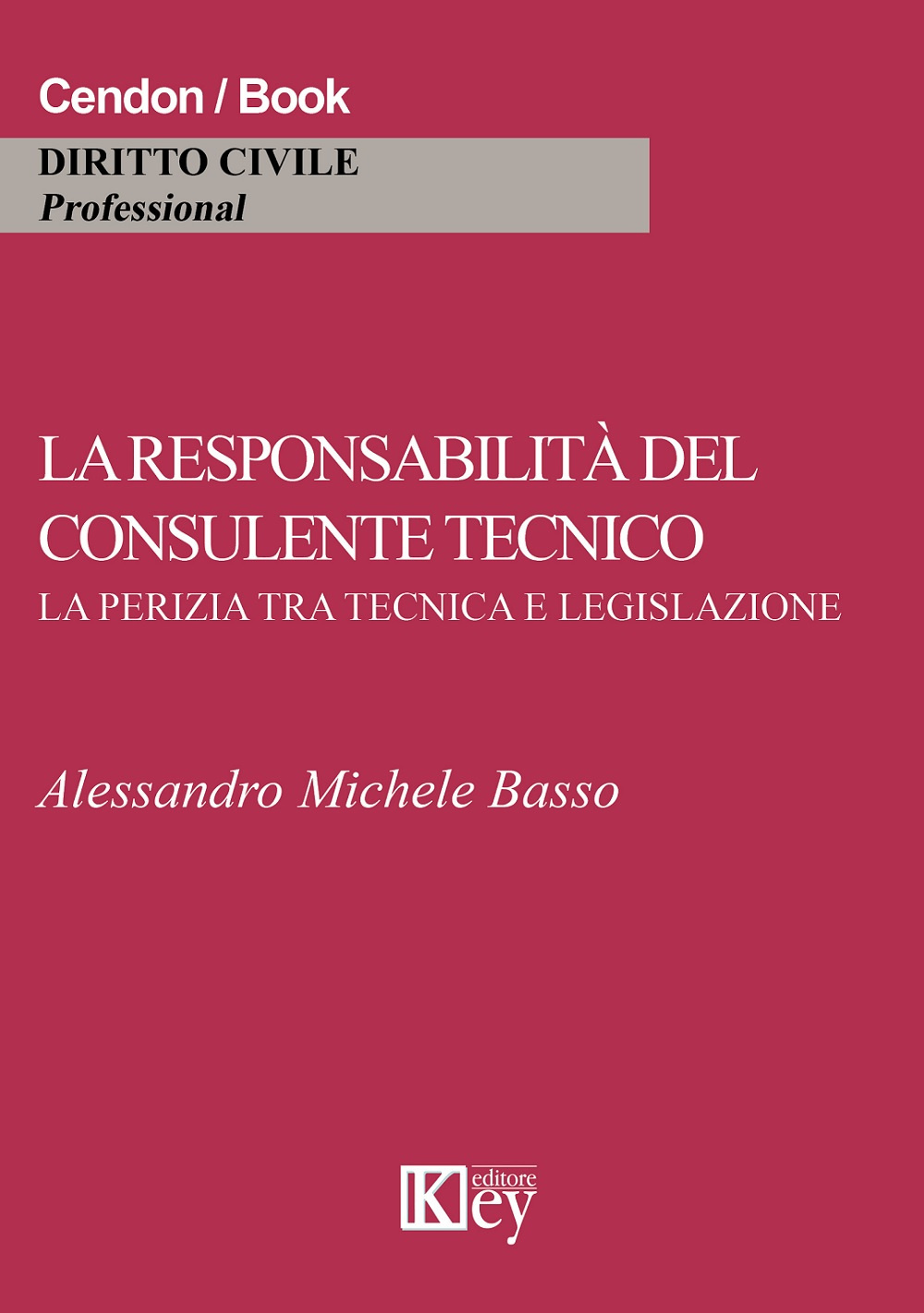 La responsabilità del consulente tecnico. La perizia tra tecnica e legislazione