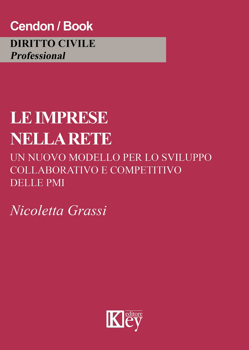 Le imprese nella rete. Un nuovo modello per lo sviluppo collaborativo e competitivo delle PMI