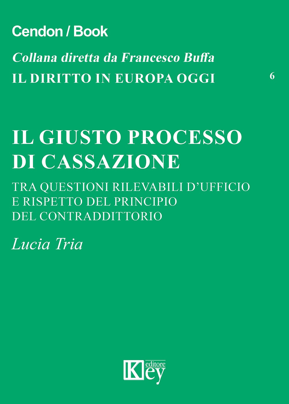 Il giusto processo di cassazione tra questioni rilevabili d'ufficio e rispetto del principio del contraddittorio