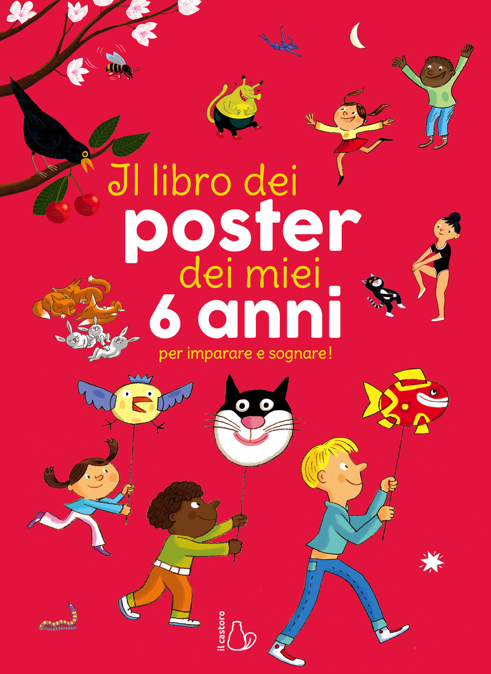 Il libro dei poster dei miei 6 anni per imparare e sognare!