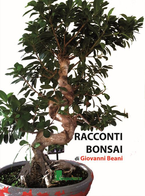 Racconti bonsai